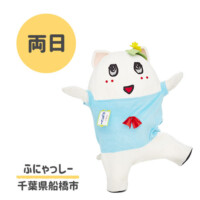 ●ふにゃっしー
千葉県船橋市